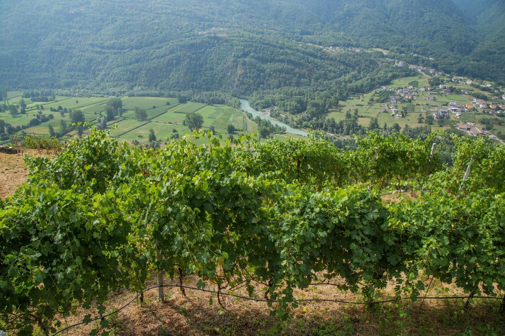 B&B Ca' La Vedescia Тельо Екстериор снимка